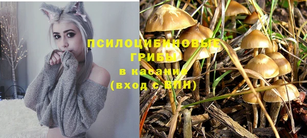 стафф Абинск