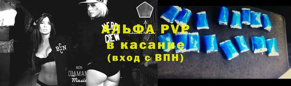 стафф Абинск