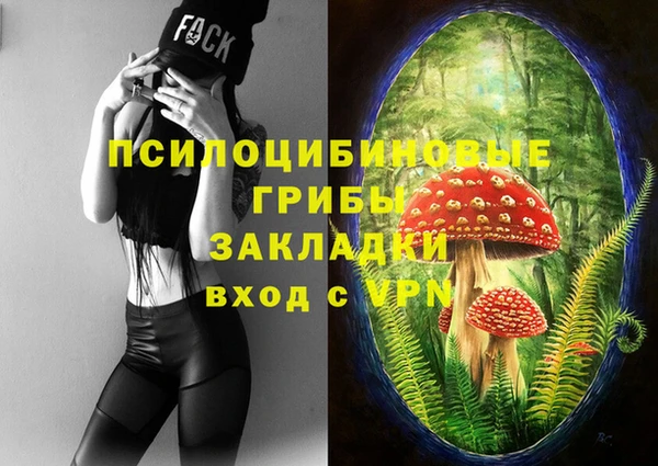 стафф Абинск