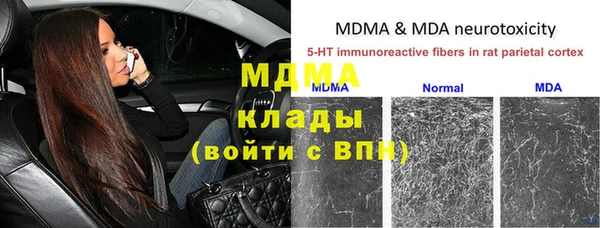 стафф Абинск